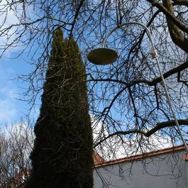 Baumdusche Kaltwasser aus Edelstahl — Michael Krauss Wasserspiele