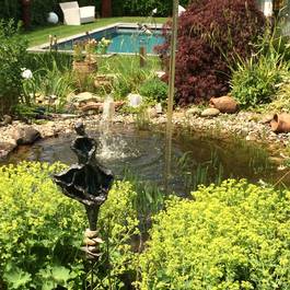 Teichbrunnen, Wasserhahn in der Luft aus Edelstahl — Michael Krauss Wasserspiele