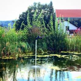 Teichbrunnen, Wasserhahn in der Luft aus Edelstahl — Michael Krauss Wasserspiele