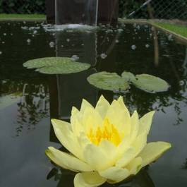 Wasserfall Mekong II aus Edelstahl — Michael Krauss Wasserspiele