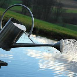 Gartenbrunnen "Fleissiges Lieschen" aus Edelstahl — Michael Krauss Wasserspiele